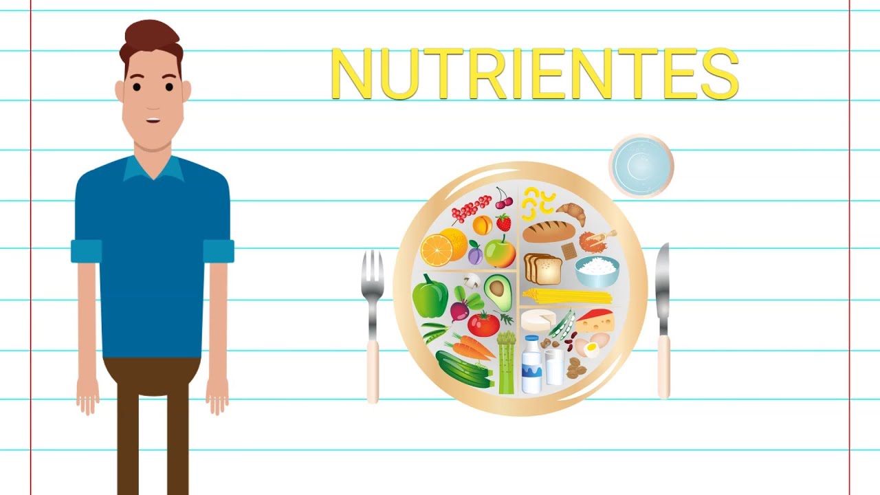 NUTRIENTES - RESUMO