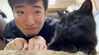 ついて来てと言う猫ちゃんの『黒ちゃん』お披露生放送