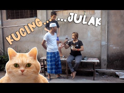 kucingjulak