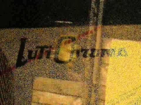 Luti Chroma - Non ho Dinero - Live a Trento 80