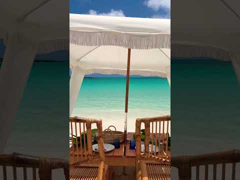 Table for 2 with a side of Blue 😎❤️ #shorts #travel #bahamas #beach #picnic #exuma #explore