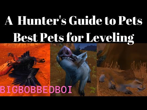 A Hunter's Guide to Pets : Best Pets for Leveling | WoW Classic Tutorial