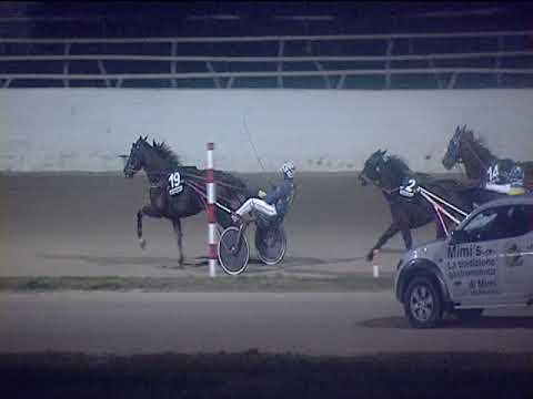 Trotto 30/12/2018 - 6ª corsa