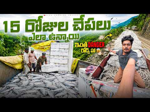 ఇంత ప్రమాదకరమైన రోడ్స్ హా 😱15 రోజుల చేపలు ఎలా ఉన్నాయి 🎣🐠