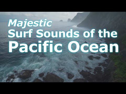 Pacific Ocean Sound of the Surf Ambient Audio Recorded at Point Reyes, California