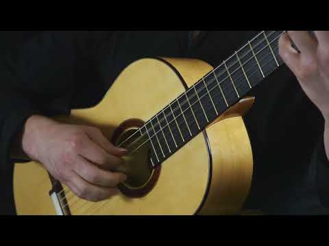 Matt Palmer plays Leo Brouwer Estudios Sencillos No. 6