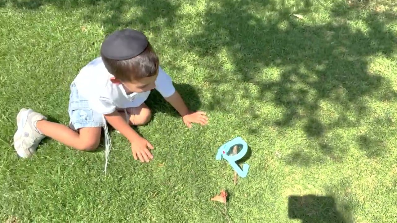 שיראל בן חיים