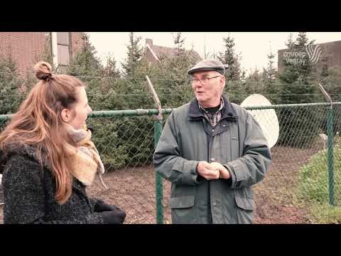 BuutesteBinne - 12 Leunen