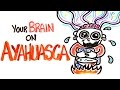 Your Brain On Ayahuasca: The Hallucinogenic Drug Your Brain On Ayahuasca: The Hallucinogenic Drug