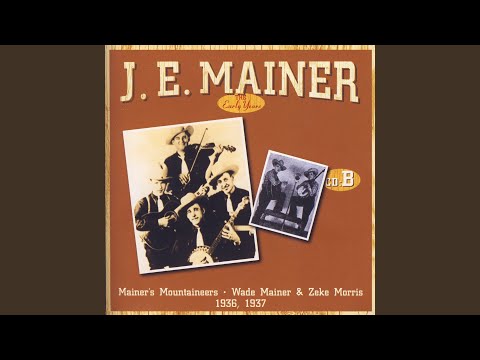 Johnson's Old Grey Mule