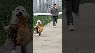 Esse Cachorro faz a Vida dessa Vovó mais Feliz