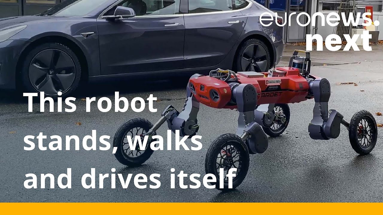 Watch: This four-legged robot on wheels can walk on two feet and drive itself