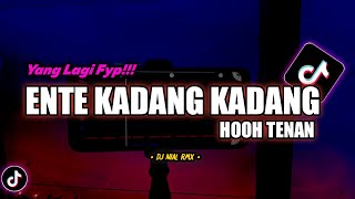 Download lagu DJ Ente Kadang Kadang Hooh Tenan Remix Viral TikTok Terbaru 2022 Full Bass mp3