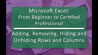 Add, Remove, Hide, Unhide Rows & Columns (02.07) - MS Excel: From Beginner to Certified Professional