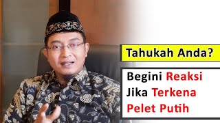 Download lagu 5 Reactions of Someone Who Is Hit by a White Pellet mp3