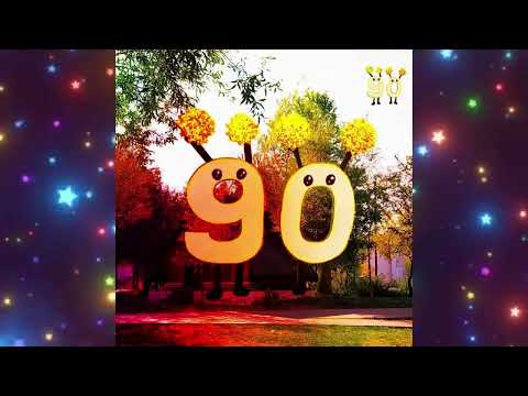 Stop motion Río Mayo