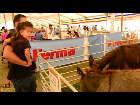 Târgul Agromalim - Expo Arad ziua a treia