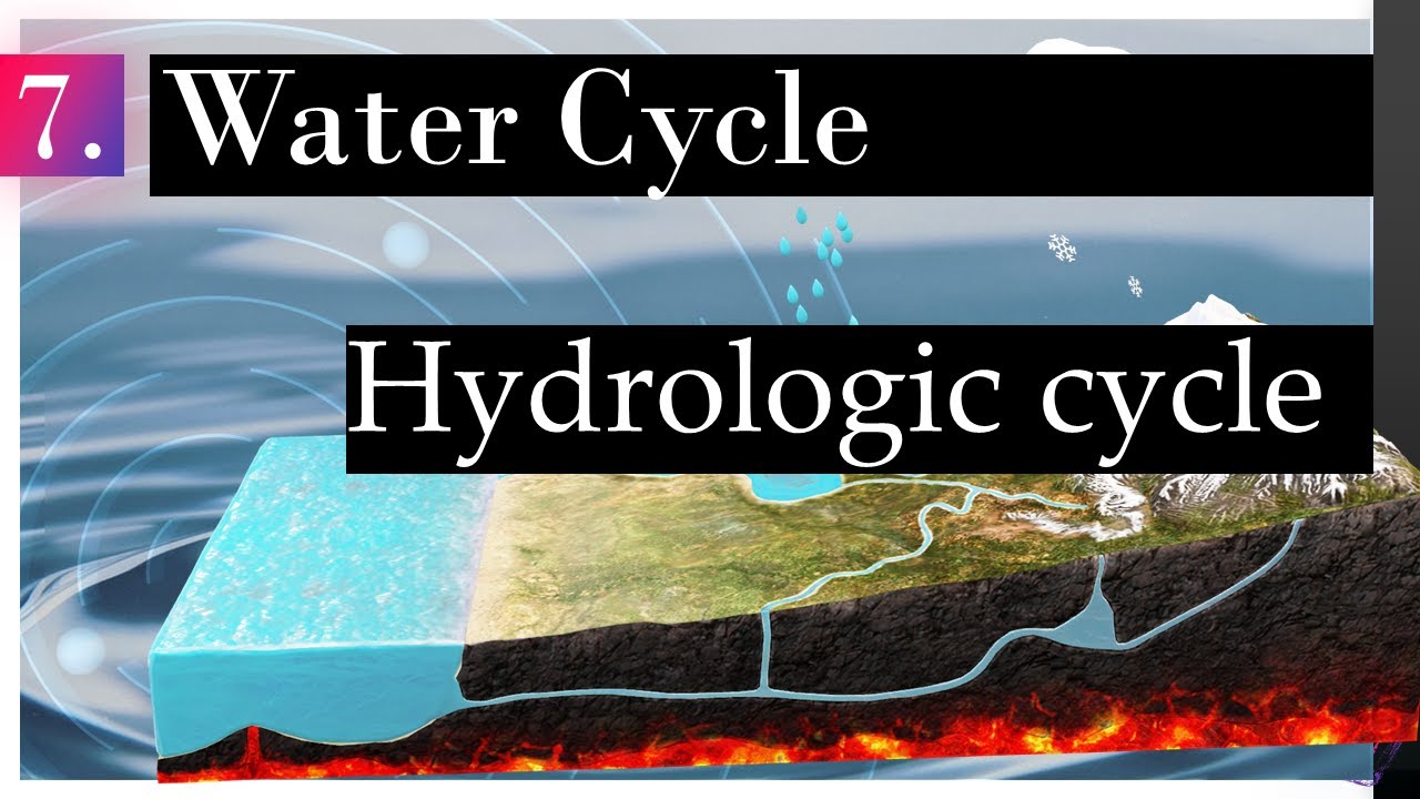 What Is The Hydrologic Cycle? - How The Water Cycle happens? - Why is the water cycle important?