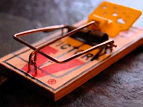 I/O\I - Roadkill