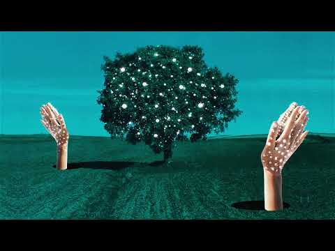 Clean Bandit - Everything But You (feat. A7S) [Seamus D Remix]