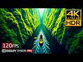 Best Of 4K HDR 120 Fps Dolby Vision 4K Video Ultra HD