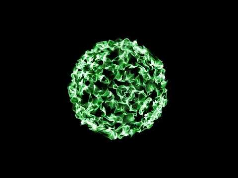 Sam Dexter, Drive7, Lee Wilson - Roll Up