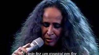 MARIA BETHANIA - O DOCE MISTÉRIO DA VIA