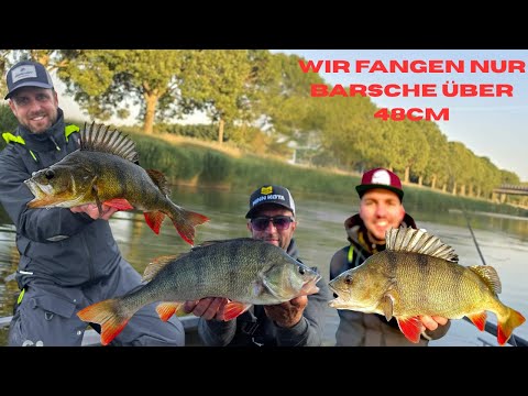 MONSTER BASS in the CANAL 😱Incredible CATCHES😱