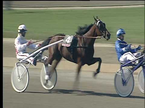 Trotto 31/03/2017 - 2ª corsa