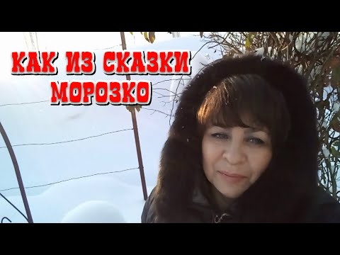 Новое видео хутор мамы ларисы. Хутор мамы Ларисы. Хутор мамы Ларисы ютуб. Хутор мамы Ларисы фото. Сегодня Хутор мамы Ларисы.