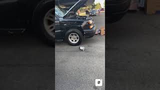 2005 Chevy Avalanche A/c Compressor Replacement