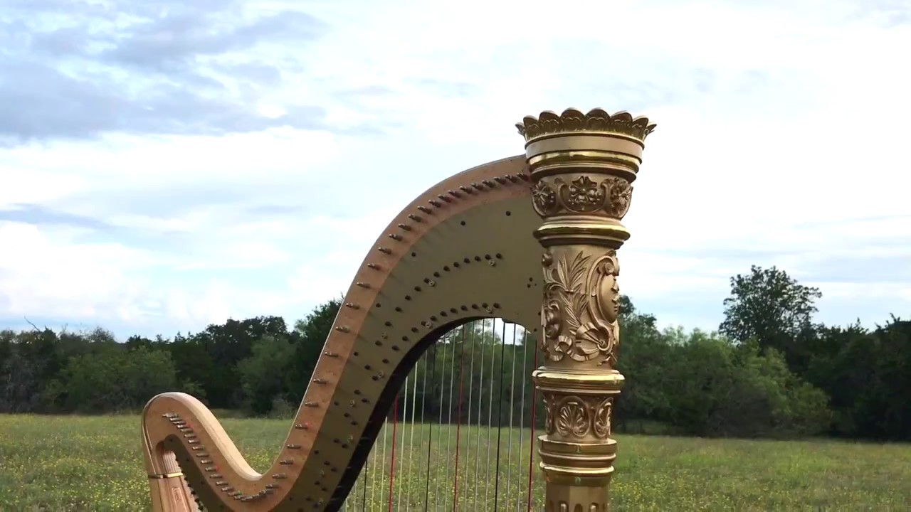 Promotional video thumbnail 1 for Grace Neal Harpist