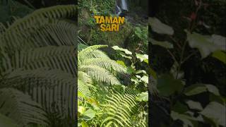 Download lagu Beautiful waterfall and with Pool in Bali #tamansari #bali #travel mp3