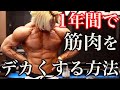 最速で筋肉を大きくする方法5選を伝えます。