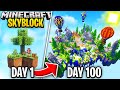 I Survived 100 Days Of Skyblock In Minecraft