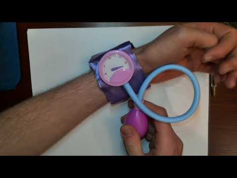 BIOE 3310 Lec 3.2 - Pressure and Hydrostatics