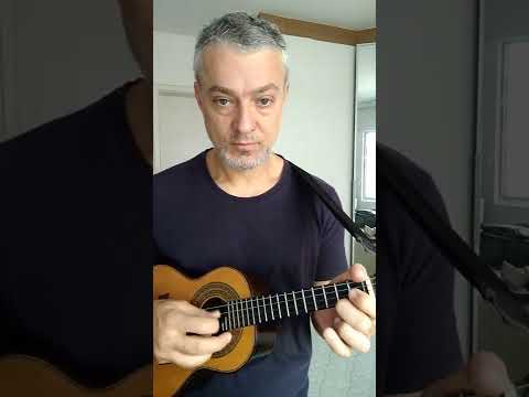 Para Não Contrariar Você - Paulinho da Viola