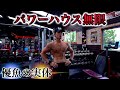 無限ジム!ユーフィッシュの実体公開!