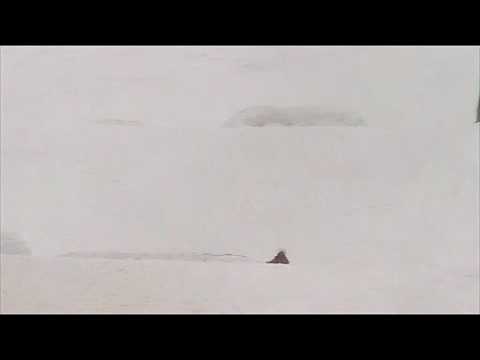 FWT09 @ Himos - Kids Slope Style - 2nd Kangas Joona run 1