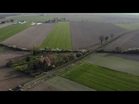 Agroturystyka Ginkgo dron