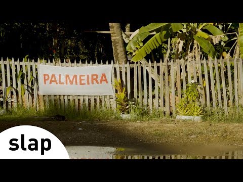 Video thumbnail for Palmeira