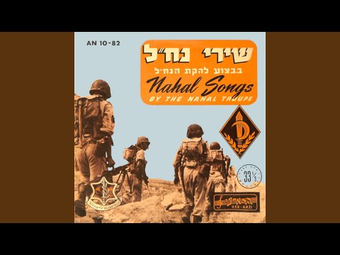 הורה האחזות