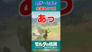 1回も死ねないマスターモードで、始まりの塔から飛び降りる英傑【ゼルダの伝説 ブレス オブ ザ ワイルド】#Shorts