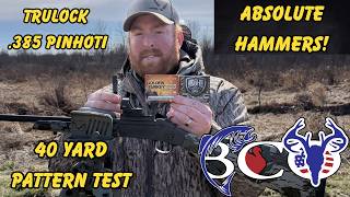 STEVENS 301 | HEVI 18 + GOLDEN TURKEY | TRULOCK PINHOTI CHOKE