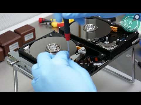 Datenrettung Festplatte (Western Digital): HDD klickt, Festplatte wird nicht erkannt