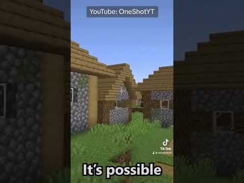 OneShotYT - This Minecraft world is an infinite village! #Shorts