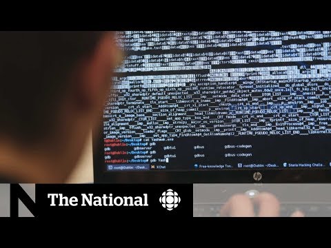 NATO allies condemn 'malicious' Russian cyberattacks