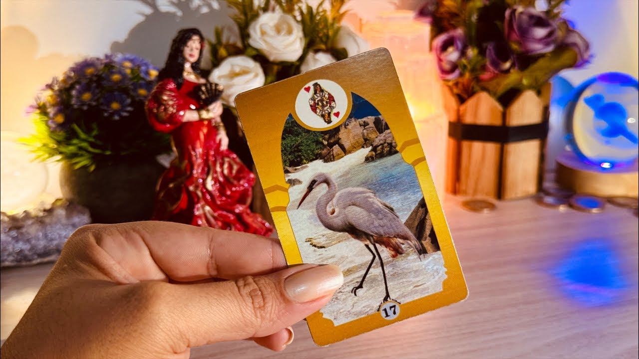 Em 7 DIAS tem NOVIDADES pra VC! Descubra TUDO♥️🪭🌹