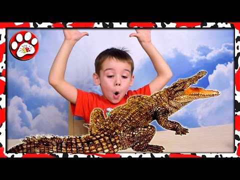 Крокодил и ко макси Деагостини Какой КРОКОДИЛ самый СИЛЬНЫЙ в МИРЕ 🐊🐊