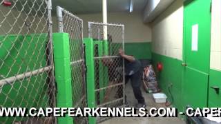 preview picture of video 'CAPE FEAR KENNELS DOG CLUB'